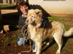 CIRO-