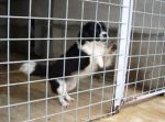 thumb_DSC00253