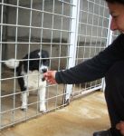 thumb_DSC00254