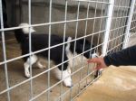 thumb_DSC00257