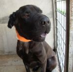thumb_DSC00708