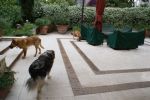 Leon_26.5.2011_n._1
