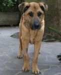 Leon_28.5.2011_n._2