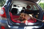 Leon_in_auto_28.5.2011_n._4