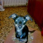 Lucky-marina-e-gabriele2