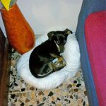 Lucky-marina-e-gabriele3