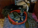 Lucky-marina-e-gabriele5