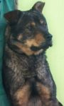 MACISTE3