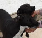 MAMMA_E_FIGLIA3