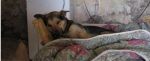 Pallino_Relax