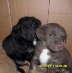 SAM_0280