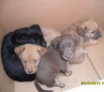 SAM_0284
