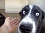 thumb_Simon_14