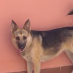 Susanna_ed_Edyta1
