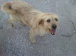Willy_e_Rocky1