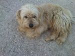 Willy_e_Rocky2