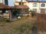 Zaira_e_10_anni_di_canile4