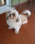 alessia1