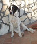 argo4