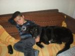 asia1_11_2010
