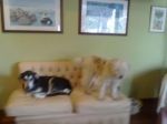 charlie_e_anna1