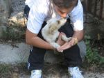 cucciola_ladispoli4