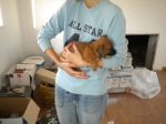 emilia_039