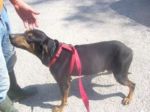 filippo2