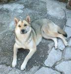 kimi_e_loredana_1
