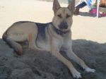 kiretta_alla_spiaggia