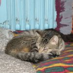 micinalucia2_755