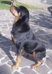 nerone3_716