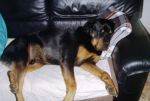 nerone4_717
