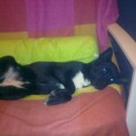 ombra_01