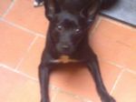 ombra_02