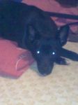 ombra_03
