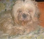 toby-e-giusi1