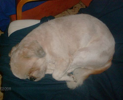 toby-e-giusi