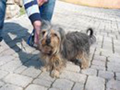 trovato_roccapriora