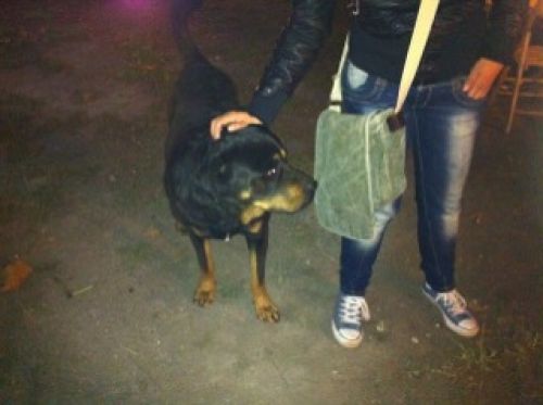 ulisse