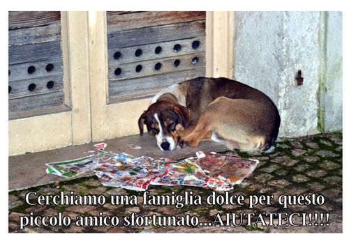 ulisse2