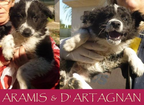 Aramis_e_dartagnan