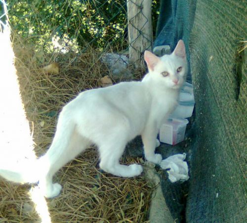 Casper