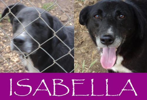 Isabella