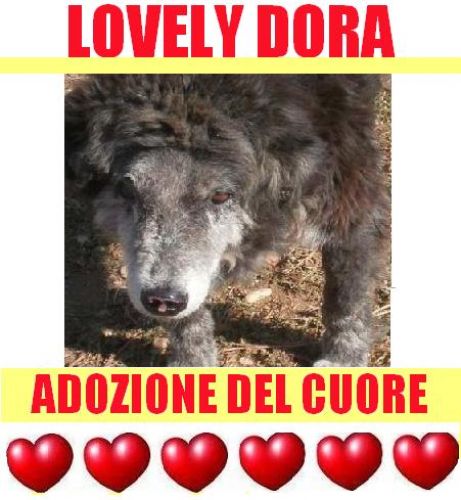 LOVELY_DORA_APPELLO_NEW_copy