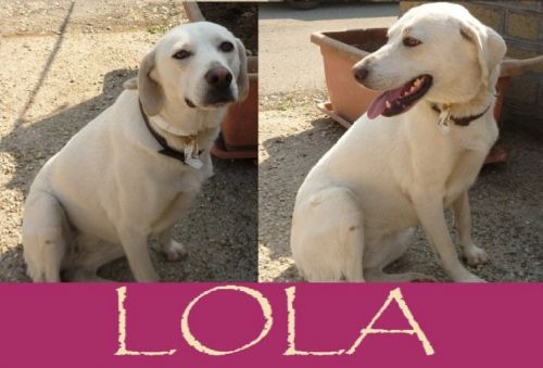 Lola