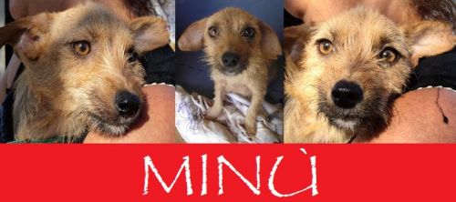Minu