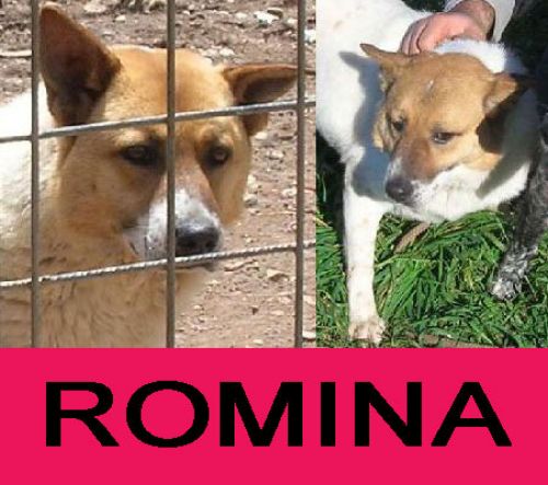 Romina_2