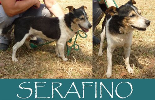 SERAFINO_2