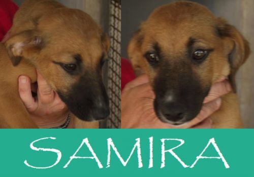 Samira
